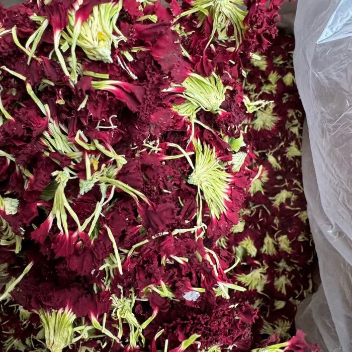 Carnation product photo