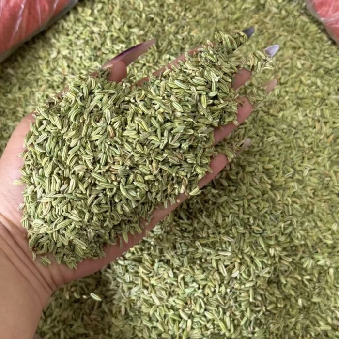Fennel Seeds product photo