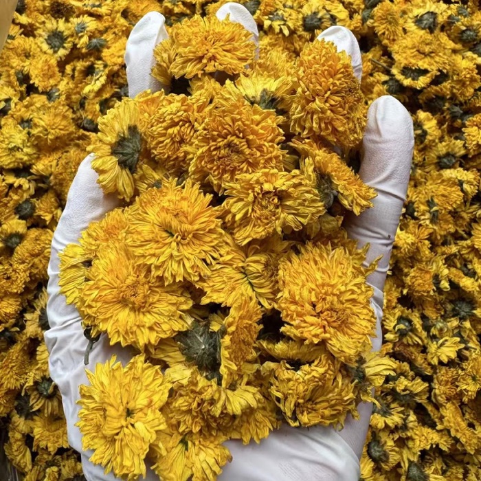 Peach Chrysanthemum product photo
