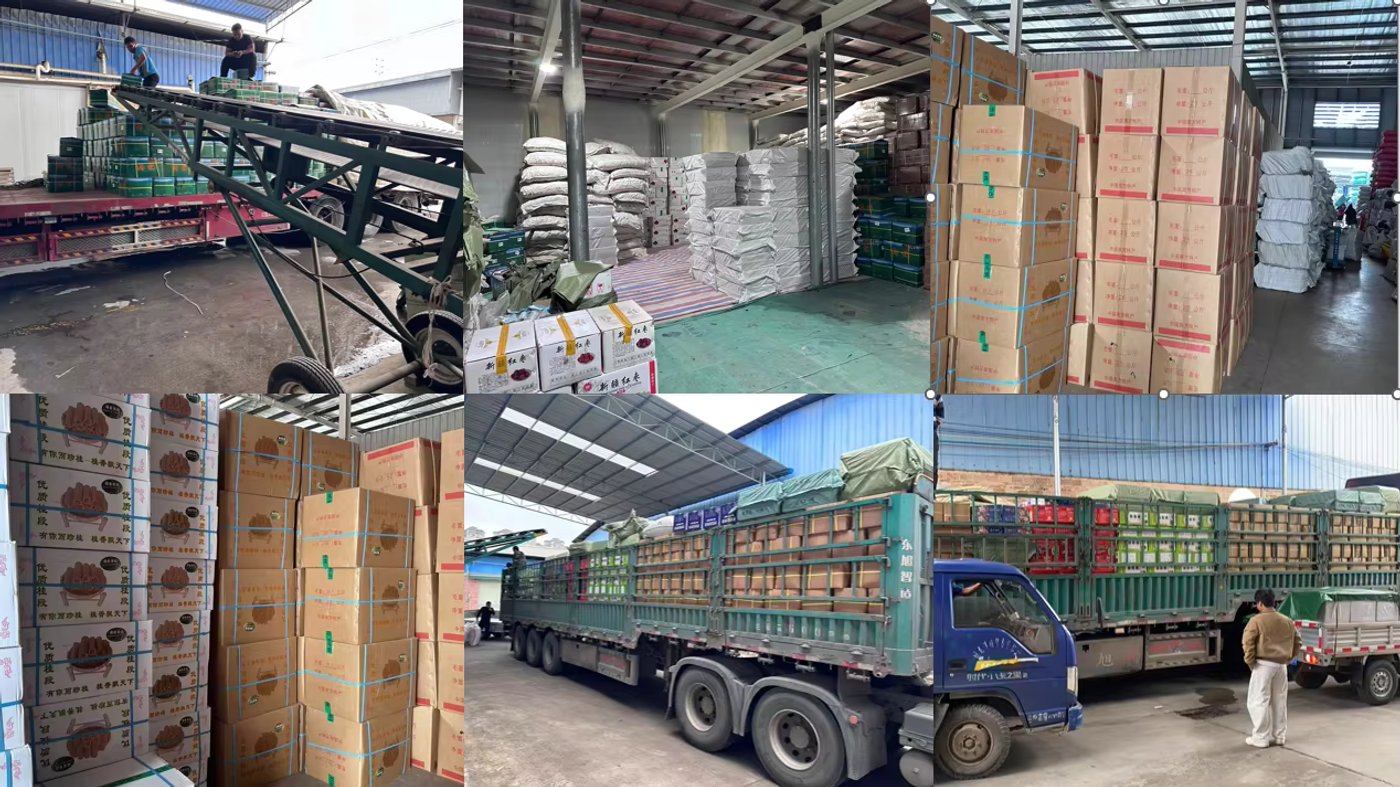 Guangxi Yunrui Spice factory and facility